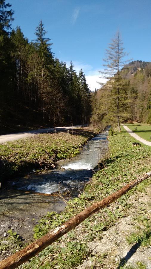 Schwaigeralm Kreuth Exterior foto
